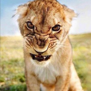 Meet your Posher, Cedric